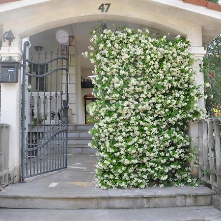 Apartmaji Stamcar Izola Zewnętrze zdjęcie