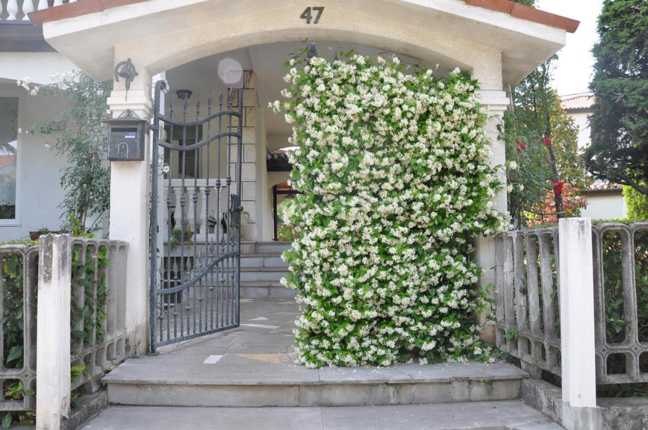 Apartmaji Stamcar Izola Zewnętrze zdjęcie